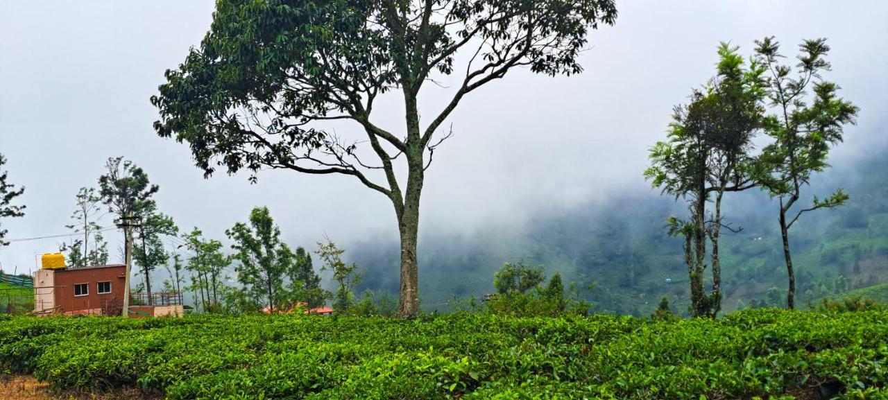 Ghar - Homestay, Where Family Lives Together Aravankādu Exteriör bild