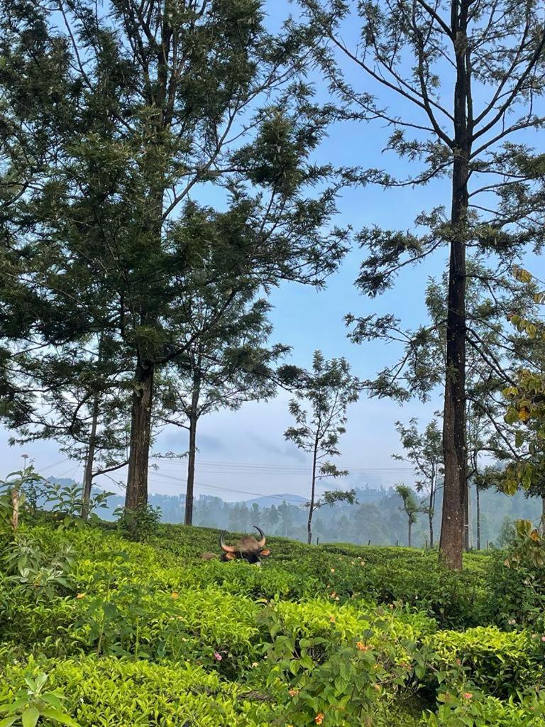 Ghar - Homestay, Where Family Lives Together Aravankādu Exteriör bild