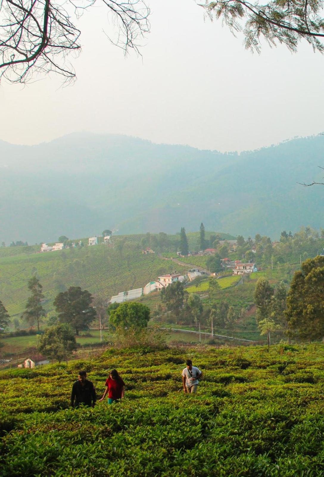 Ghar - Homestay, Where Family Lives Together Aravankādu Exteriör bild